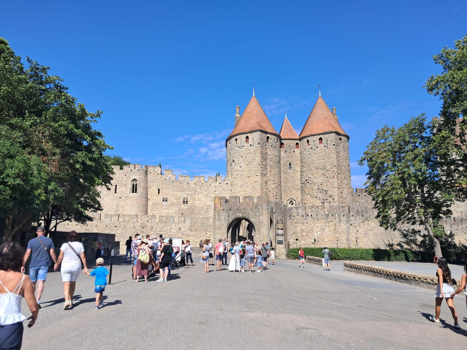 Porte Narbonnaise de la Cité de Carcassonne