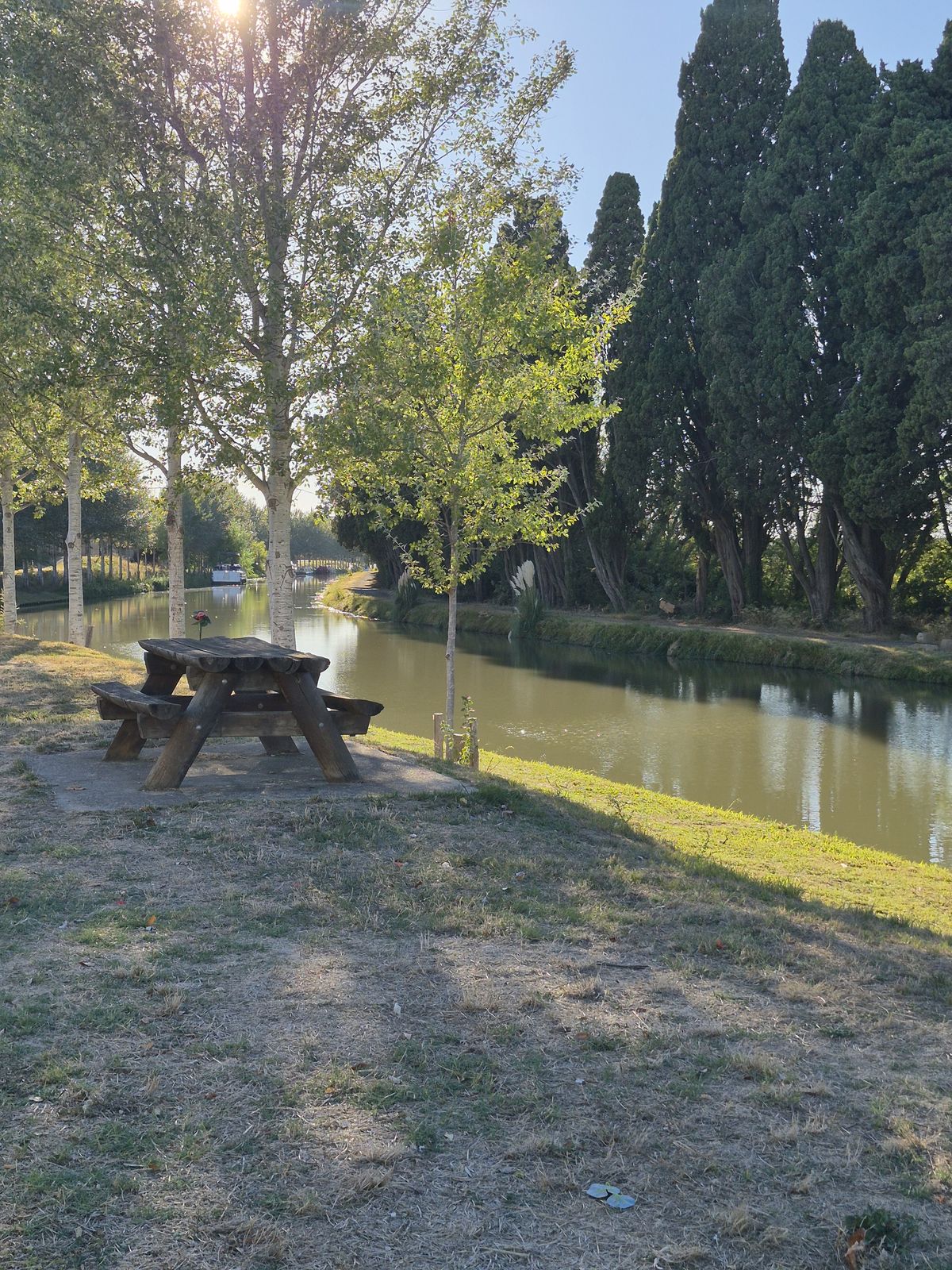 Halte ombragée le long du Canal du Midi