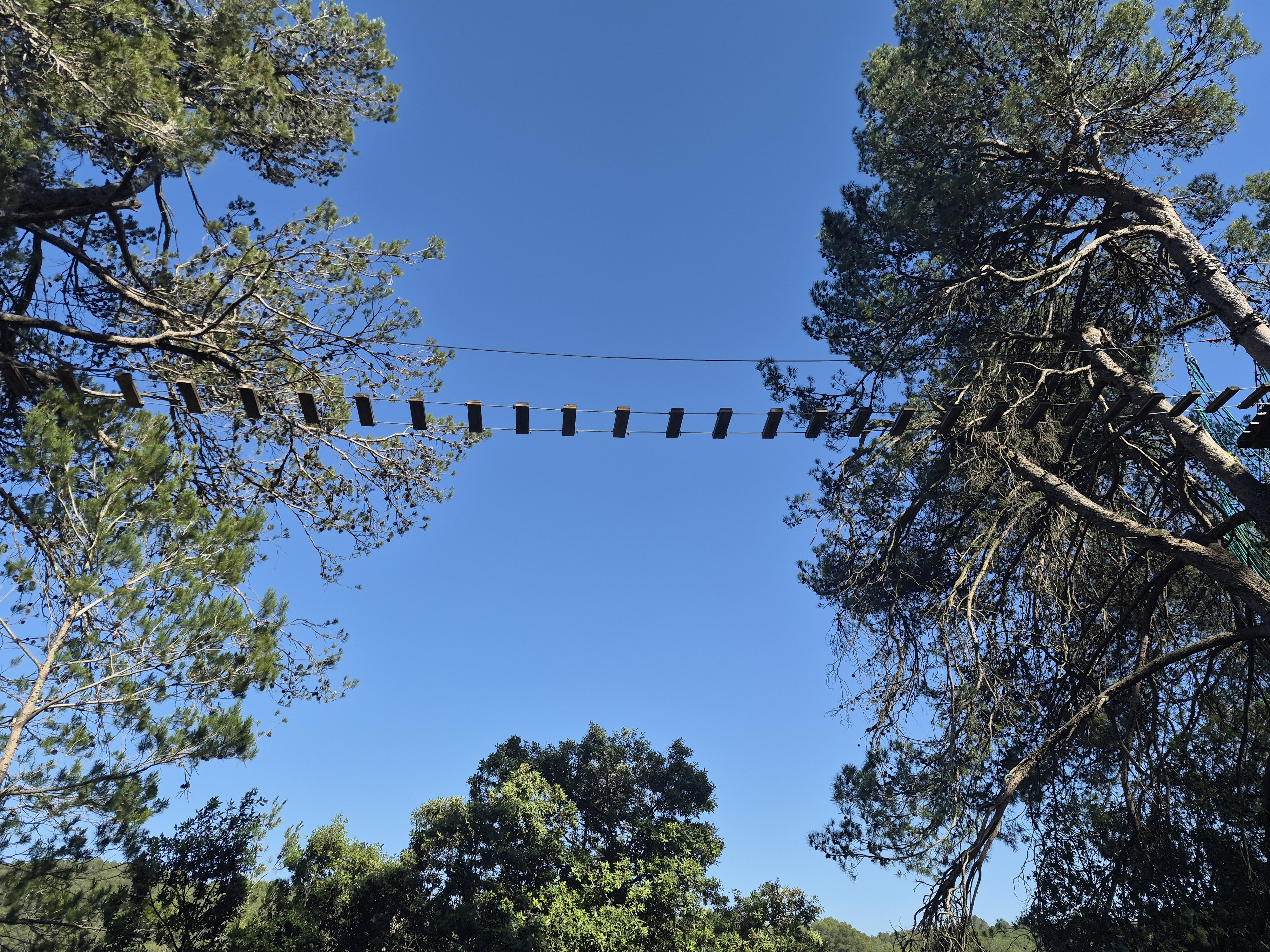 Accrobranche en forêt